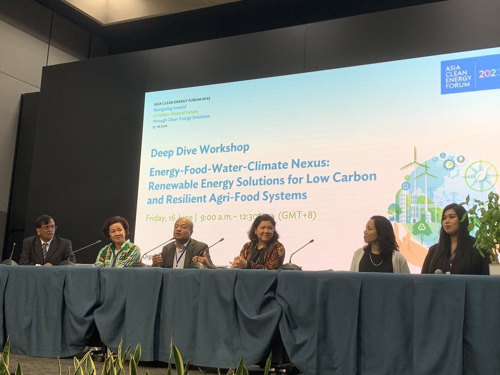 The full panel at the Energy-Food-Water-Climate Nexus deep dive workshop, Asia Clean Energy Forum 2023