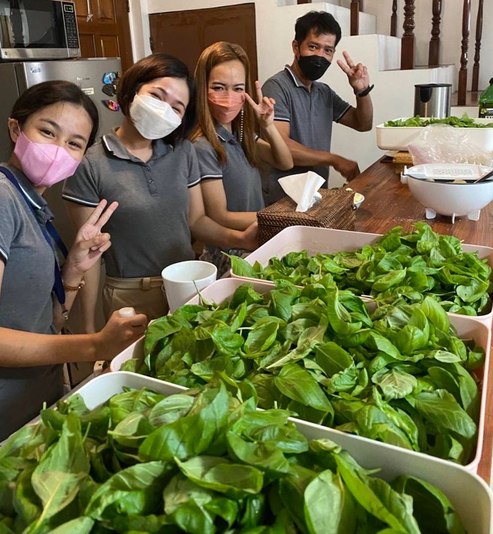 Four team members with a large harvest tray of basil