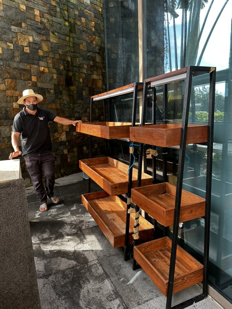 A grower beside empty timber trough racks with grow lights, ready for planting